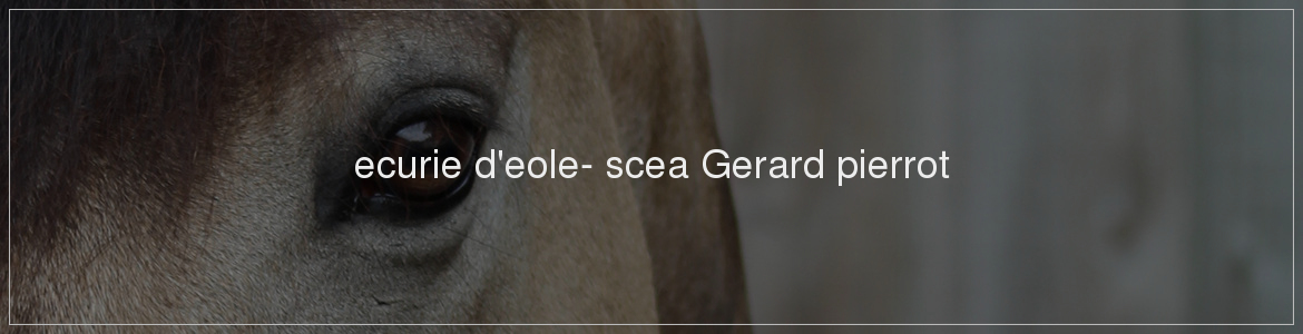 ecurie d'eole- scea Gerard pierrot